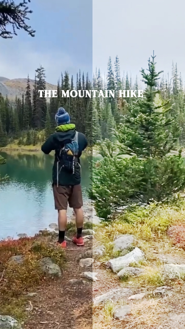 THE MOUNTAIN HIKE
