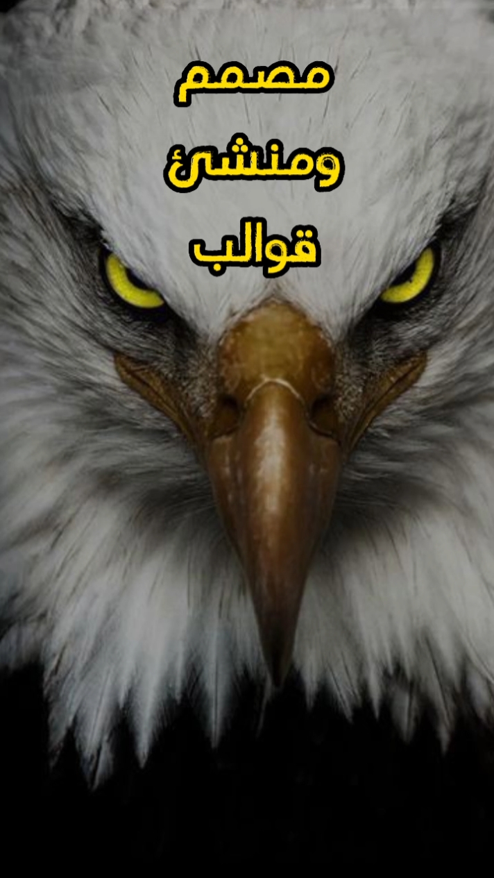 تسجيل دخول حماسي