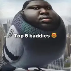 Top 5