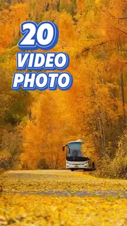 20 video or photo