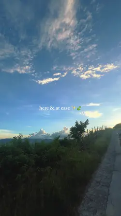 here & at peace โจ๐
