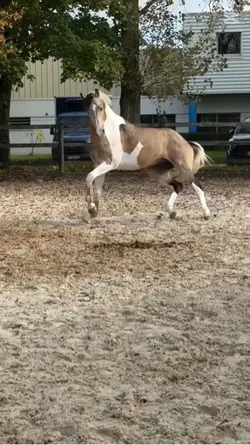 Smooth slo-mo