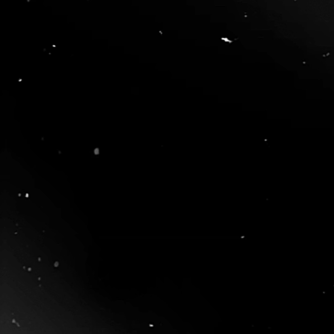 عدلت على الكلام ✨