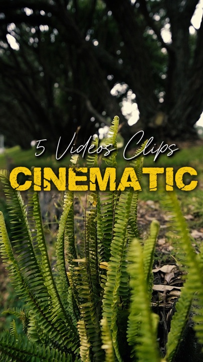 Cinematic 5 Videos 