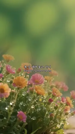 오십보백보 (2photos)