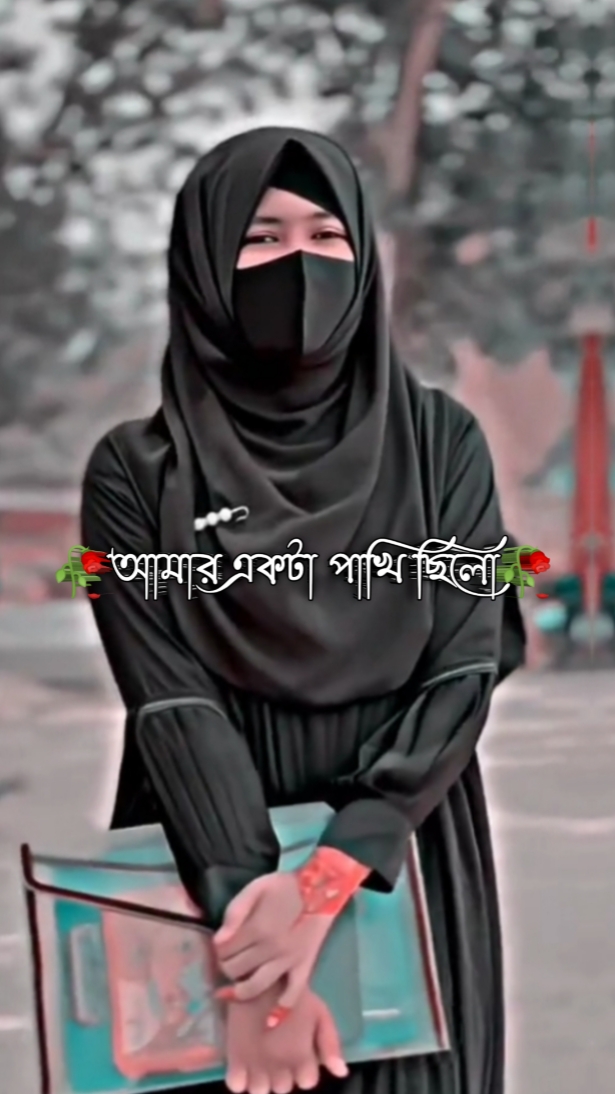 Ariful Islam Arif 