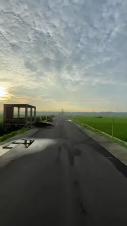 Slowmo trend