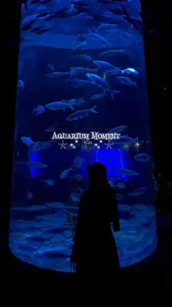 Aquarium Moment ⋆.