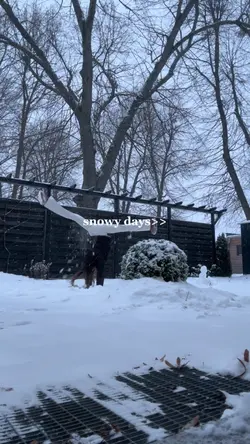 Snowy days❄️🤍