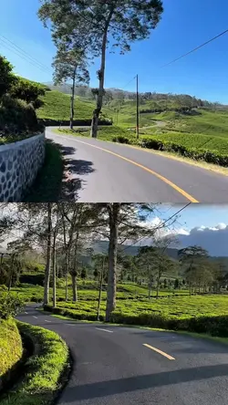 2 video 1 frame