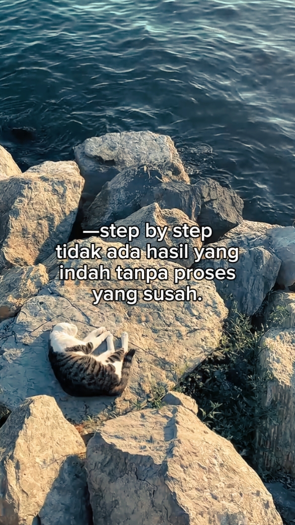 foto live kata kata 
