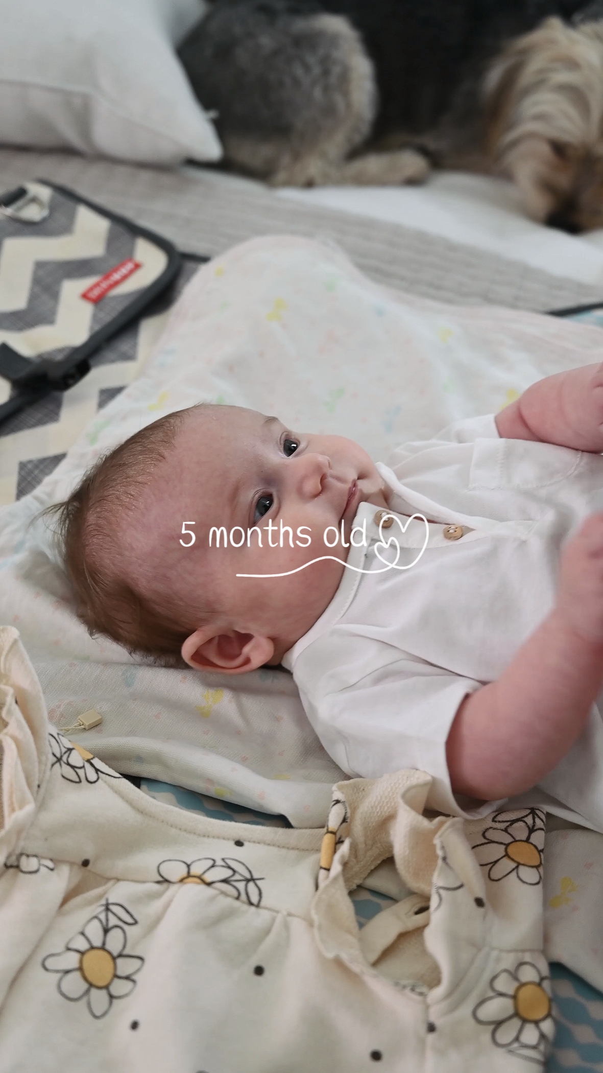 5 months old 