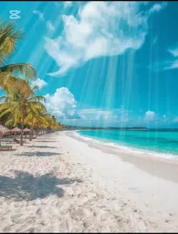Lost in paradise
