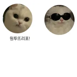 흰 눈 사이러