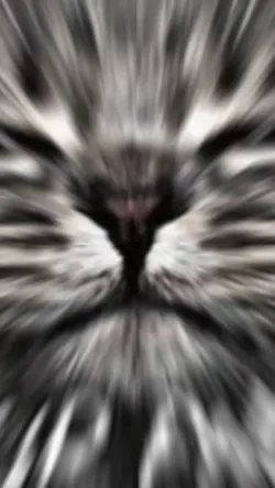 Hug (feat. kojikoji)