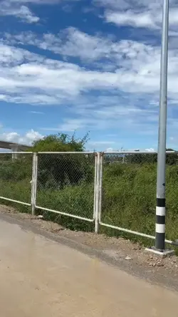 ไลฟ์โฟโต้