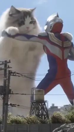 Ultraman vs kucing 