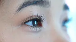 Intro Wedding