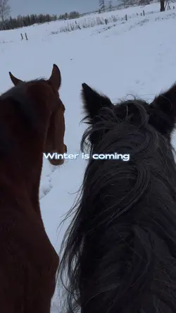 ,,Winter is coming!”