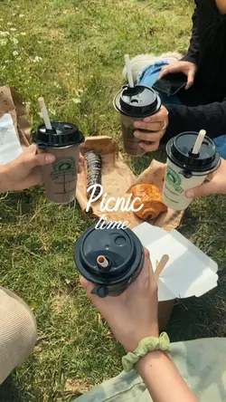 picnic time