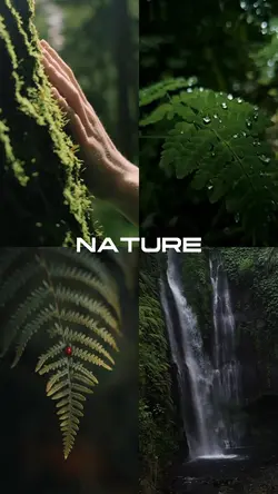 Nature 8 Clips