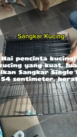 Video Sangkar Kucing