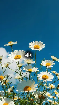 140p to 8k+ filter 