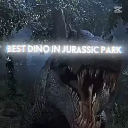 SPINO EDIT