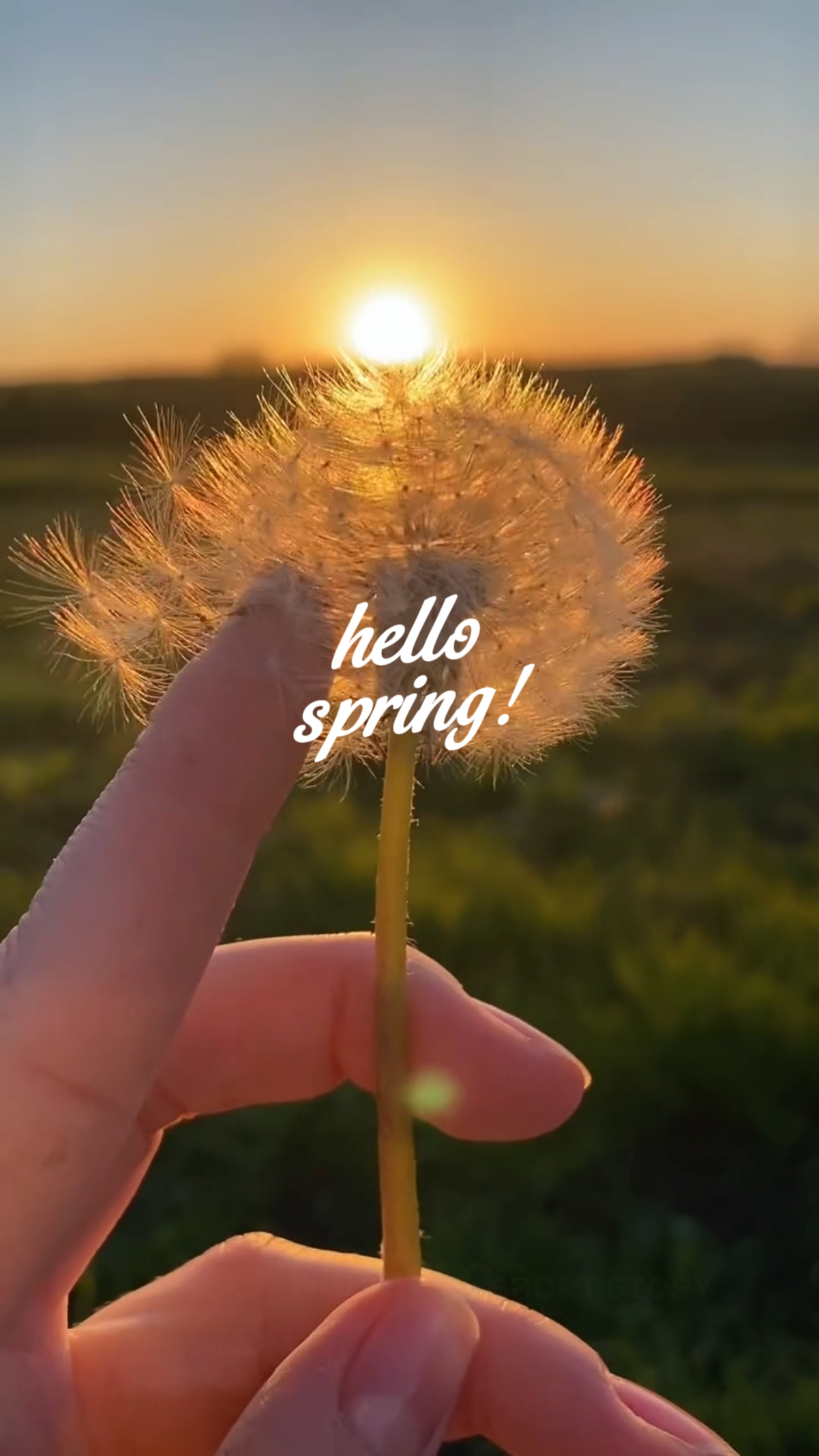 Bonjour le printemps