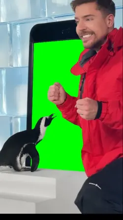 Penguin Subs MrBeast