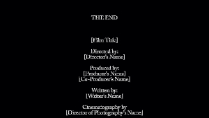  the end film