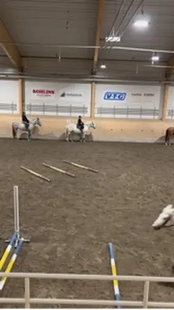 skriv en massa tips