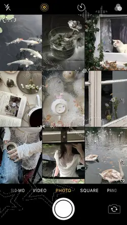 9 pics
