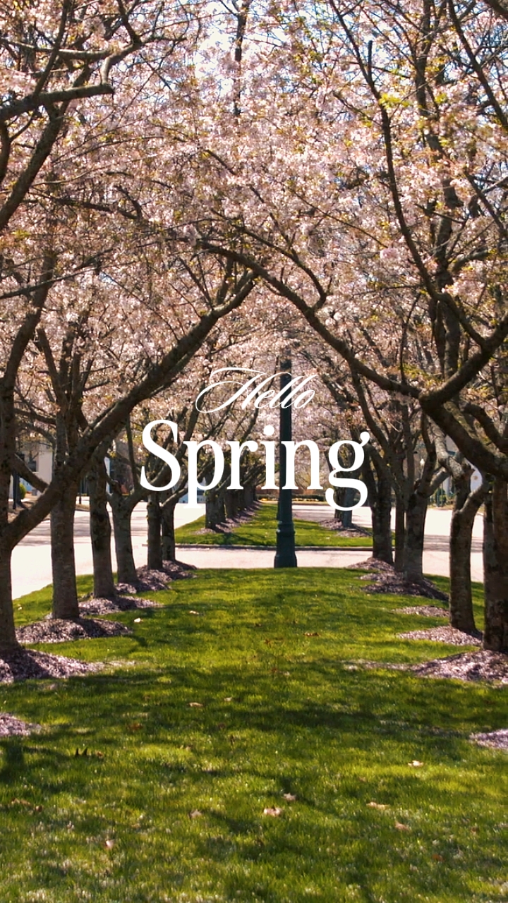 hallo frühling 