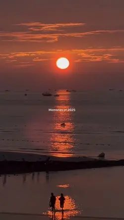 올해의 나 🔄🌟