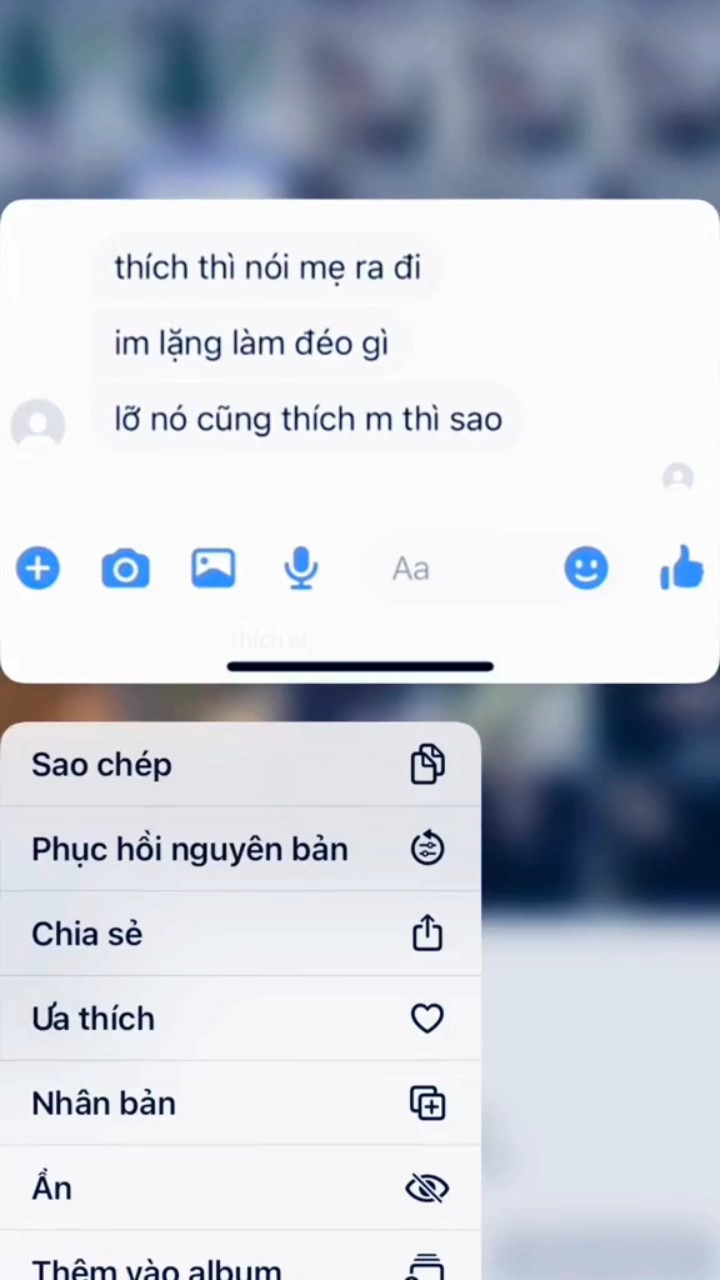 Mẫu 1 ảnh