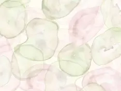 ๑ ⋅ ୨୧ ⋅ ๑