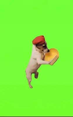 Perrito limpiando