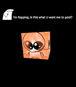 Flopping