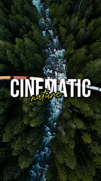 NATURE CINÉMATIQUE