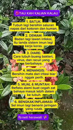 @neti HR