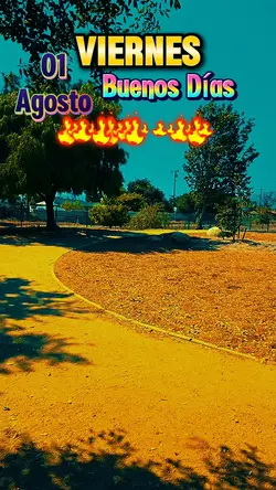VIERNES 1 DE AGOSTO 
