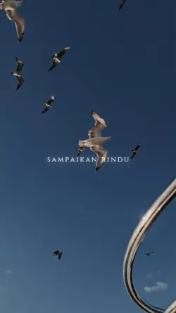 Slowmo