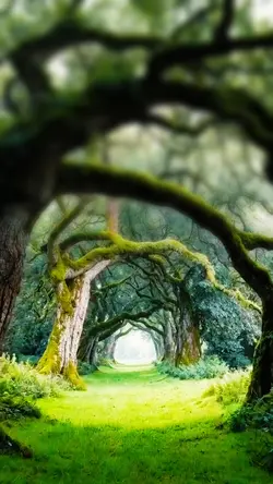 raw nature