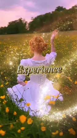 Experience