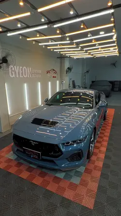 Full PPF  Ford Musta