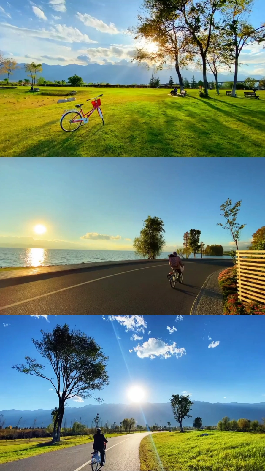 3 Grid