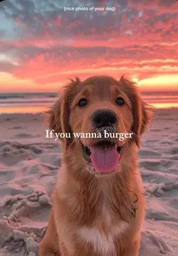 If you wanna burger 