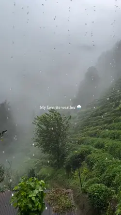 rain