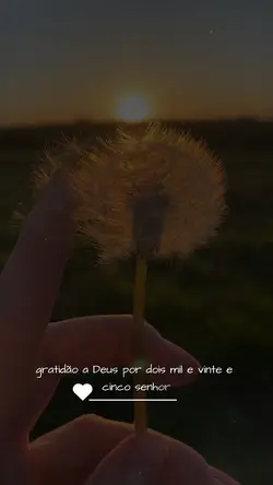 gratidão 2025